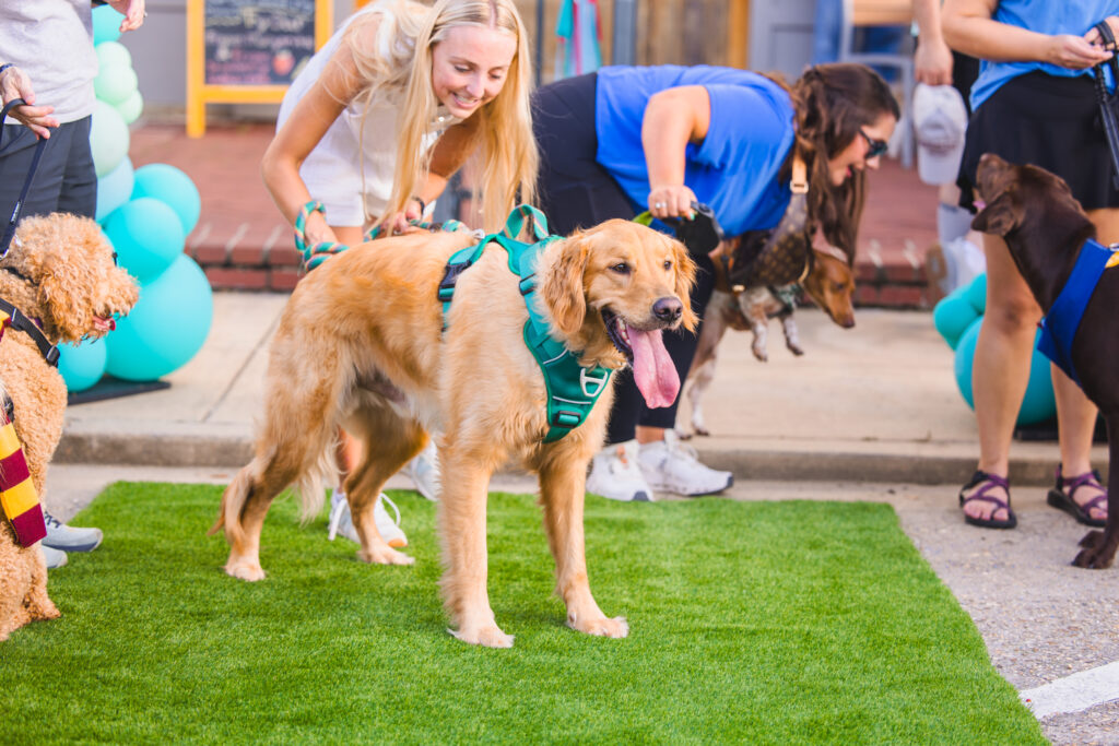 20250620-042Nights-100