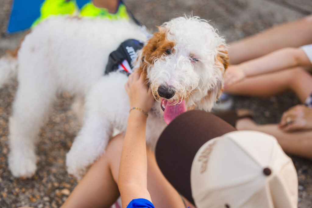 20250620-042Nights-90